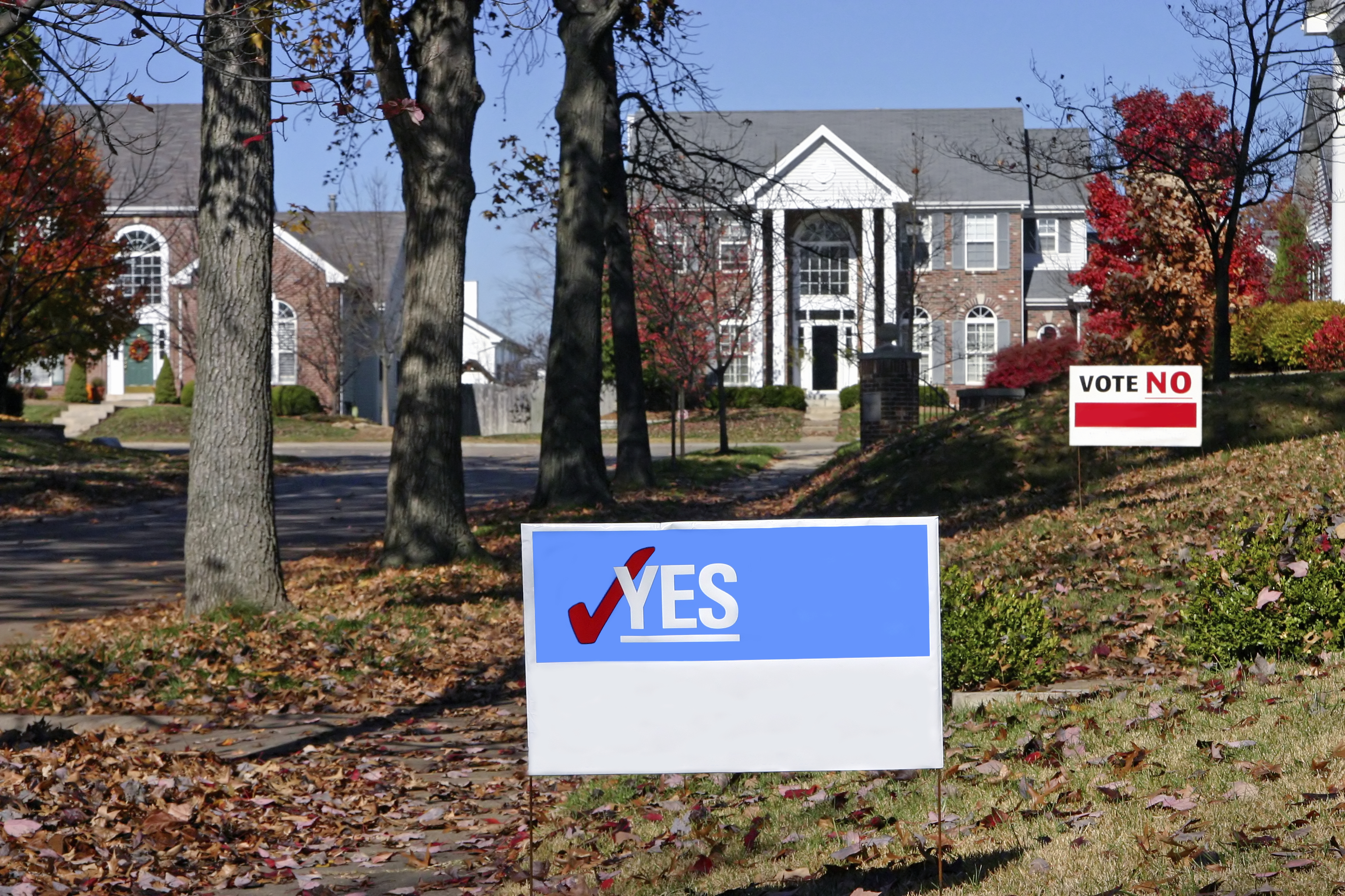 Voting signs. 